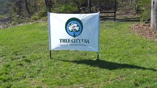 Arbor Day 2015