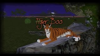 Tiger Boo- Feralheart