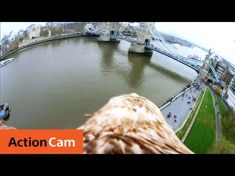 The London Tower Bridge Eagle POV | Action Cam | Sony