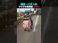 過去一バズった ! ? マイクラ実写版 TOP6