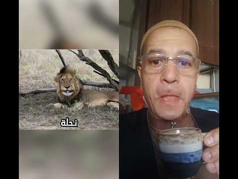 تجمع النحل على سروالى هل رأيت هذا من قبل