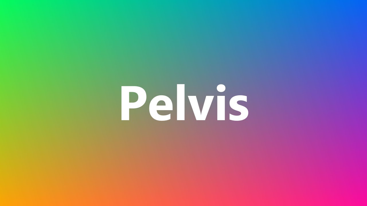 Pelvis Medical Meaning and Pronunciation YouTube