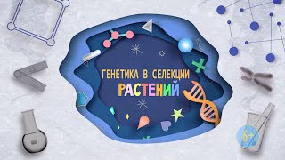 Генетика в селекции растений | 6+