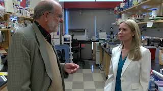 Valley Fever is on the rise – but it’s tricky to diagnose