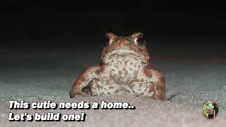 Let's make a Toad House!