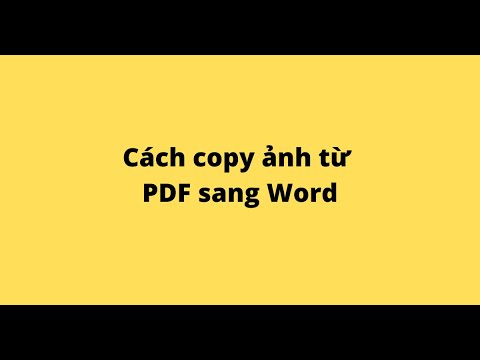 Cách copy ảnh từ PDF sang Word