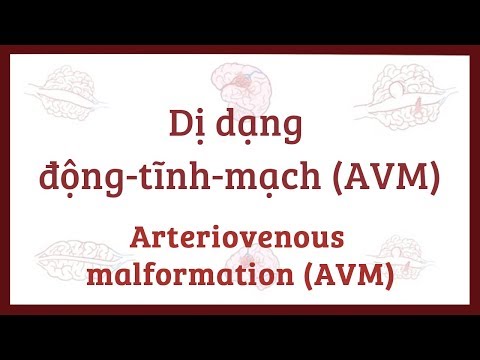 Dị dạng động-tĩnh-mạch (AVM), nguyên nhân, triệu chứng, chẩn đoán, bệnh lý