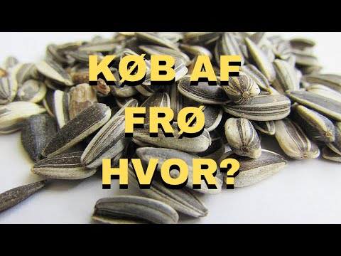 Video: Hvor dyrkes sukkerroefrø?