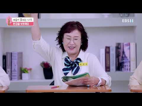 배움이 꽃피는 나무 - 환경을 보호해요