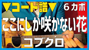 تحميل ここにしか咲かない花 コード