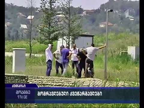 ქუთაისსა და თბილისში ქვეწარმავლები მომრავლდნენ