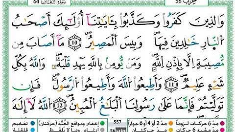 سورة التغابن مكتوبة / حمزة الجزائري