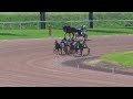 Avenches11042024poneys nordiques  prix iena