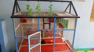 Love Birds Cage || Nest_Home_House || Bird Cage