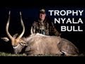 Hunting the elusive and beautiful Nyala in South Africa