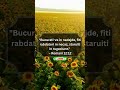 Bucurati-va in nadejde #biblia #credinta #verset