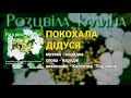 Покохала дідуся колектив Подоляни Розцвіла калина Українські пісні Народні пісні