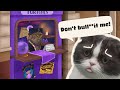 Trust the back alley fortune teller cat at your own peril.