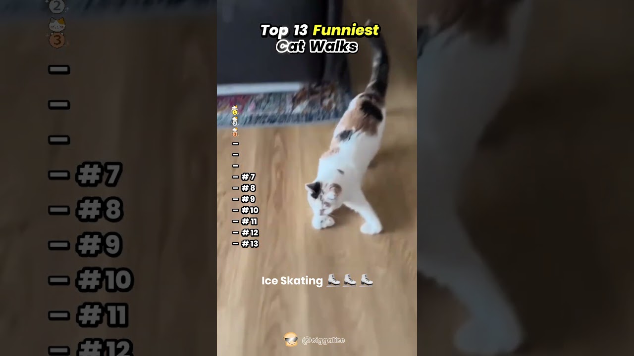 Original Title & Thumbnail