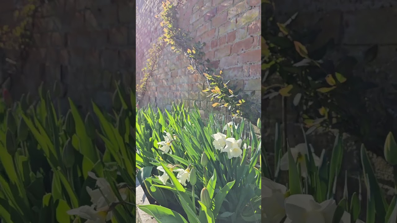 Did you spot our little friend in the video? 