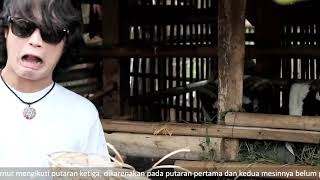Tahu Sumedang - IG upload