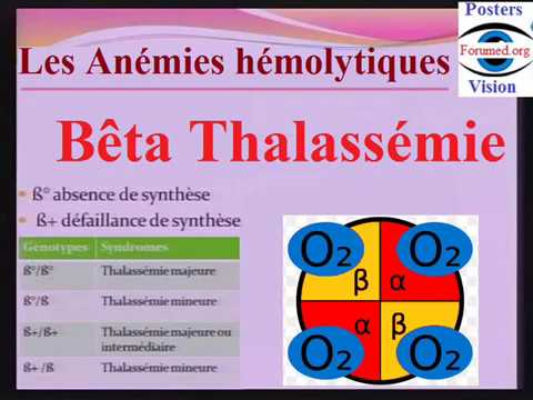 Bêta-thalassémie : nouveau succès de thérapie génique - YouTube