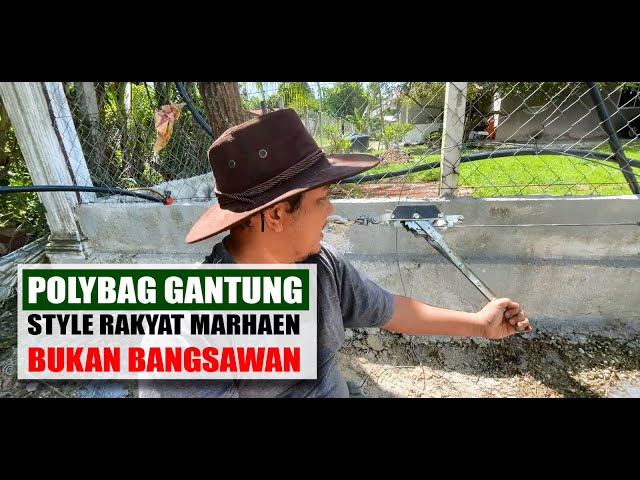 [ TUTORIAL 8# ] Tanam Ibu Tiang dan tarik dawai Polybag Gantung class=