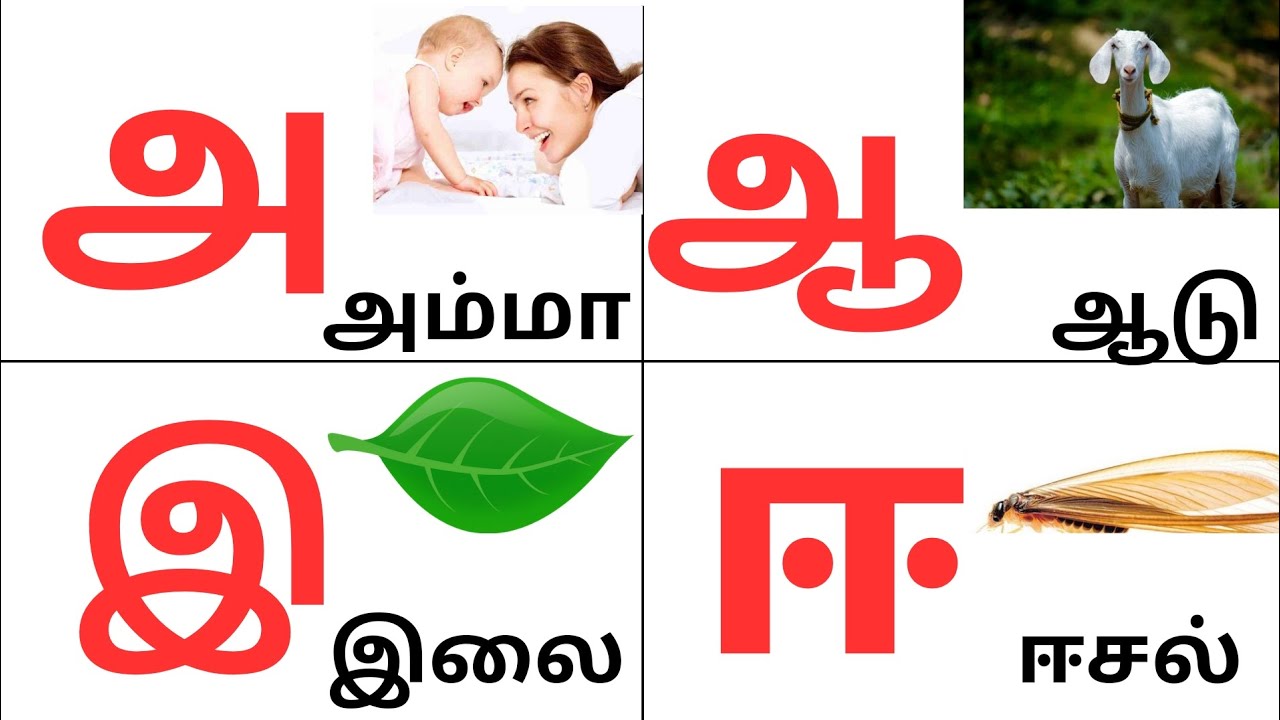 உயிர் எழுத்துக்கள்/ அ, ஆ, இ, ஈ /Learn tamil alphabets letters - YouTube