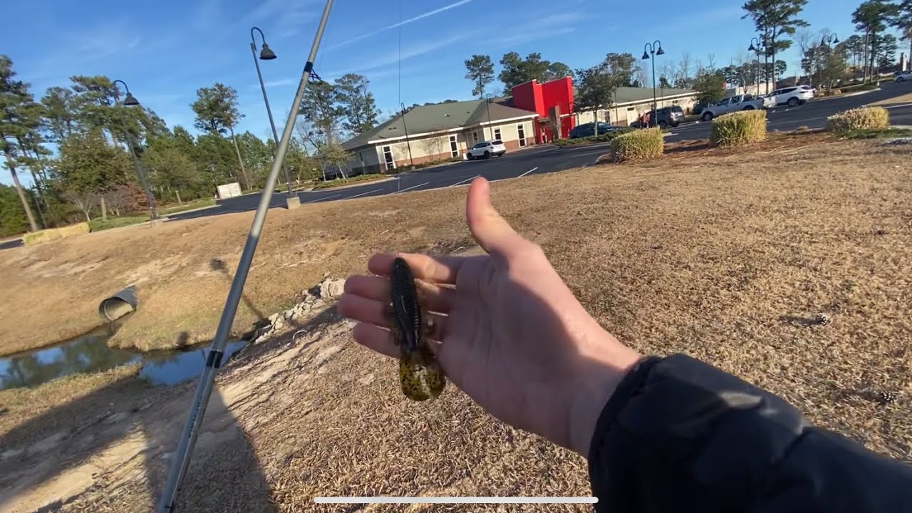 Fishing golf course ponds for big bass