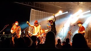 Pigs Parlament - The Trouble Fakers - Live In Izola - 8-8-2025