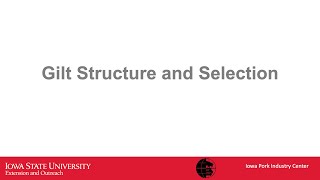 Gilt Development Series: Structure and Selection