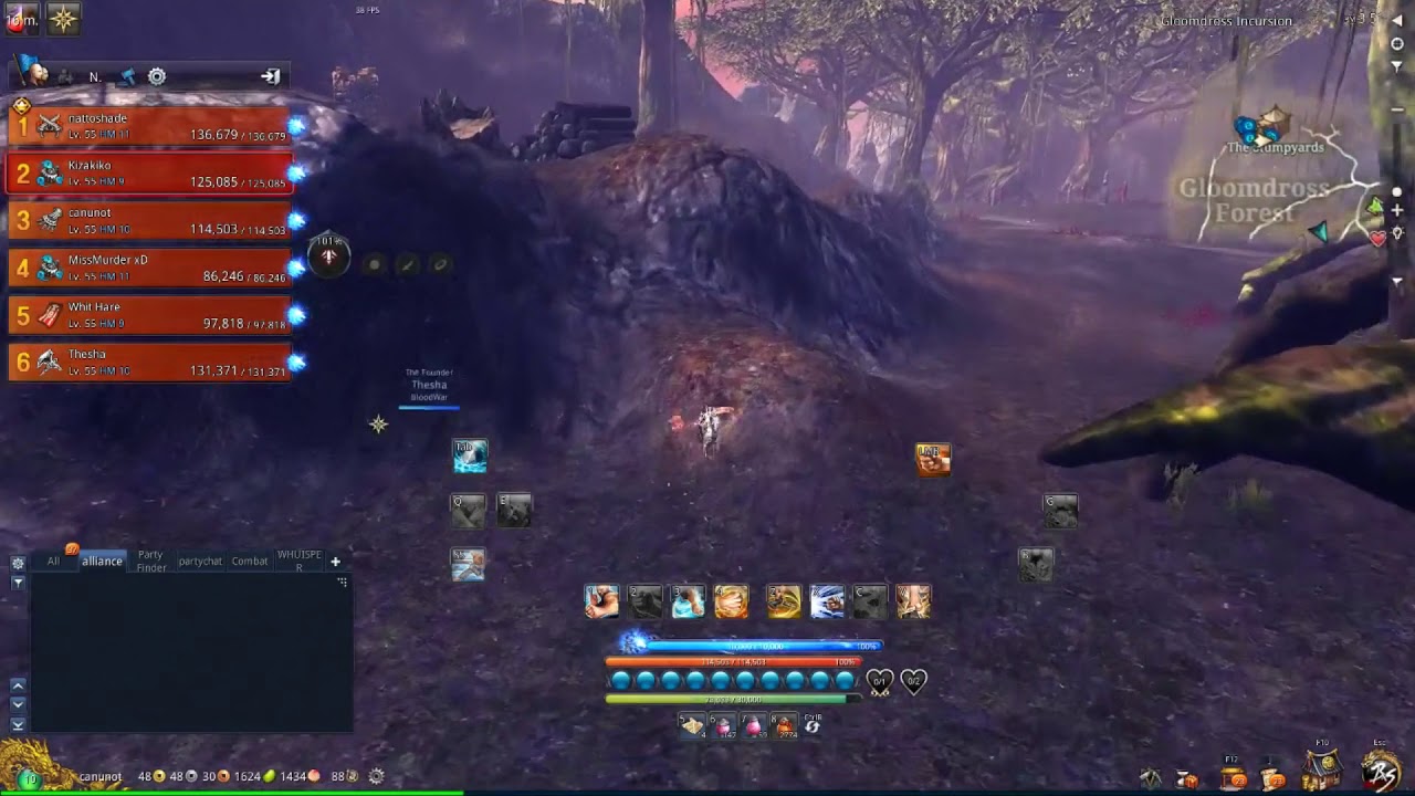 When The Fps Keeps Dropping blade Soul YouTube