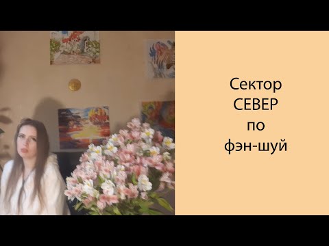 🧭 Сектор Север по фэн-шуй. Активизация сектора карьеры, духовное развитие человека. Обзор Poly 🧭 Сектор Север по фэн-шуй. Активизация сектора карьеры, духовное развитие человека. Обзор Poly