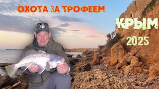 видео: В поисках трофейного горбыля:секреты успешной рыбалки! картинка: В поисках трофейного горбыля:секреты успешной рыбалки!