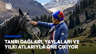 Kırgızistanın Yaylaları Ve Yılkı Atları, Kırgızların Vazgeçilmezleri Arasında
