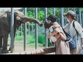 Fujifilm x-t4 zoo in Japan (Cute Animals)