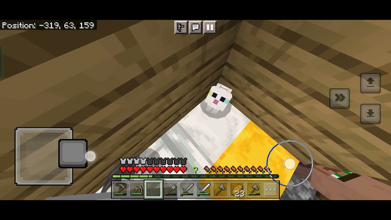 my-cat-is-now-two-cat-youtube