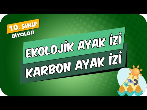 Ekolojik Ayak İzi, Su Ayak İzi ve Karbon Ayak İzi | 10.Sınıf Biyoloji #2024