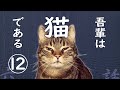 【朗読】吾輩は猫である(12)／夏目漱石