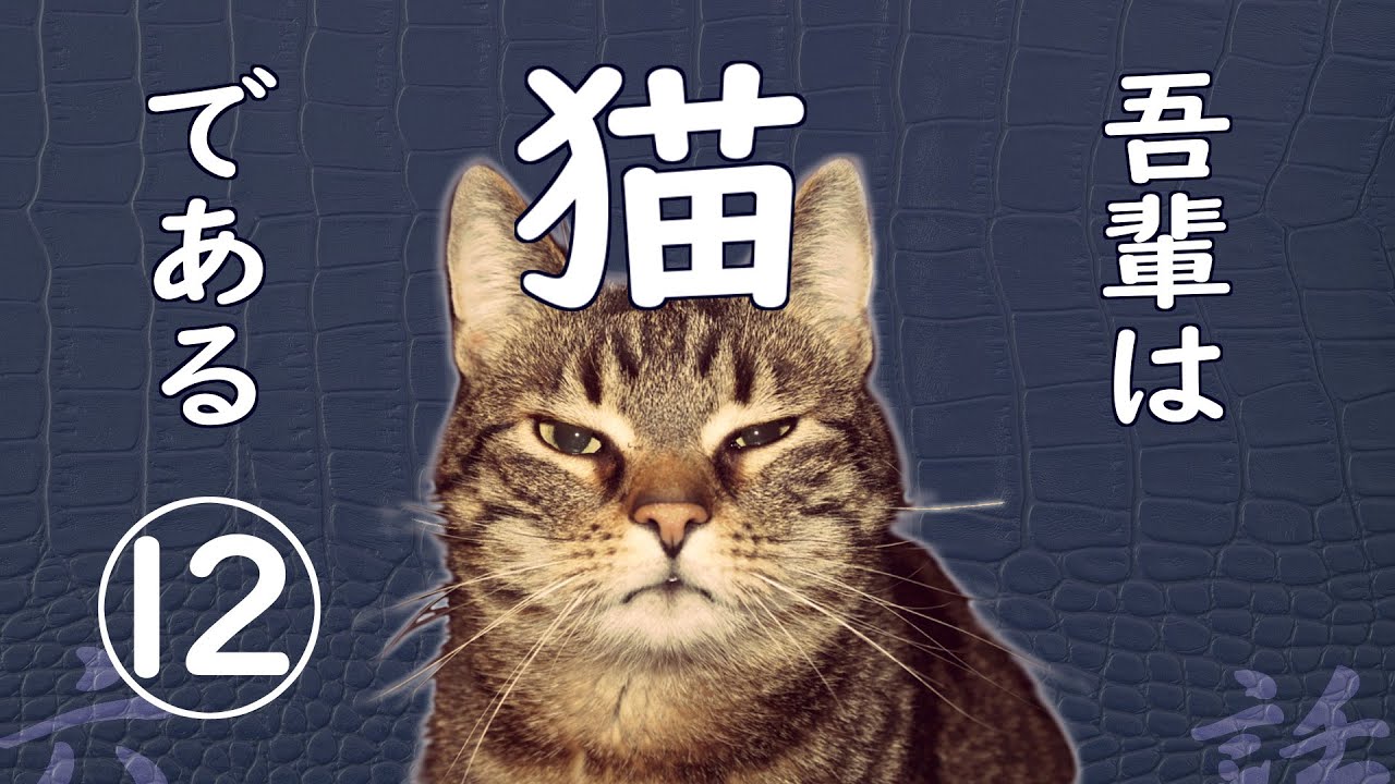 朗読】吾輩は猫である(12)／夏目漱石 - YouTube