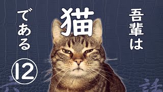 【朗読】吾輩は猫である(12)／夏目漱石