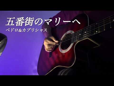 ペドロ&カプリシャス/五番街のマリーへ~[歌詞付き]昭和の名曲/弾語りカバー