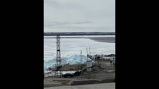 Видео от Таймыр   сердце Арктики 1