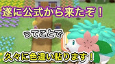 ポケモンオメガルビー ハピナス道場 秘密基地qrコード作ったよ 0 Oras経験値稼ぎ Easy Exp Blissey Secret Base Qr Code Pokemon Youtube