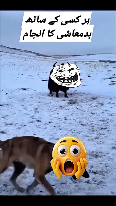 #music #arijitsingh #aseelmurga #spider #animals #funny #youtubeshorts #trending #murga #viral