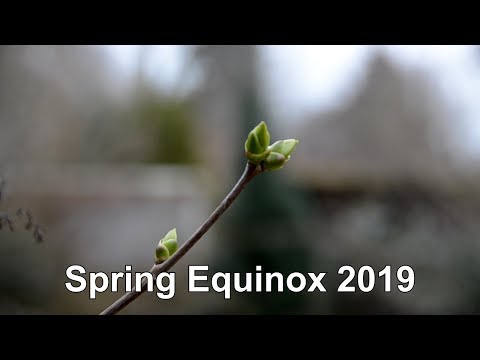 Spring Equinox - বসন্তের বিষুব - Tavaszi nap-éj egyenlőség היום הראשון של האביב Frählumgsemfemg 2019