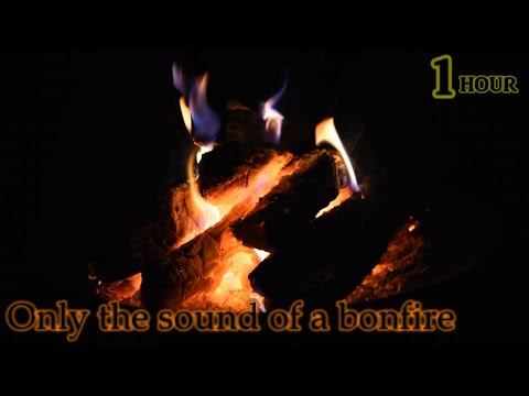 【ASMR】焚き火　BONFIRE【睡眠導入】#119