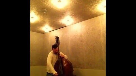 DITTERSDORF FLAT-CHROME PIRASTRO strings Damián Rubido González, bass Follow links below for+strings