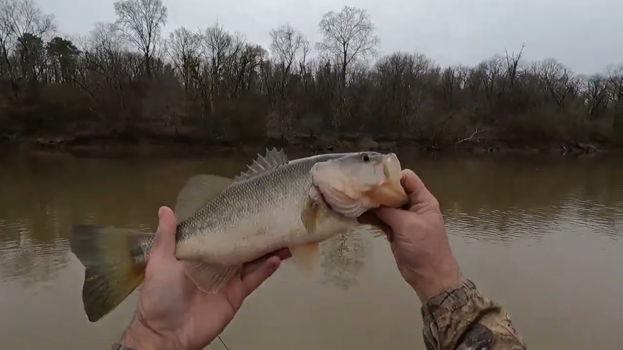 Bass Fishing Muddy Water, Roanoke River, Floating To Weldon Boat Ramp, Rockfish Capital of the World