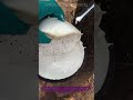 Latex Harvesting & Processing: Simple Method to Treat Fresh Tree Latex